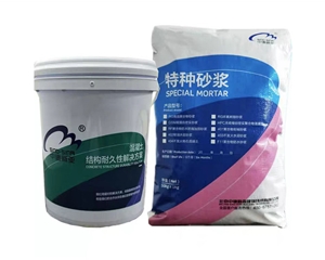 RF聚合物防水防腐加固砂漿