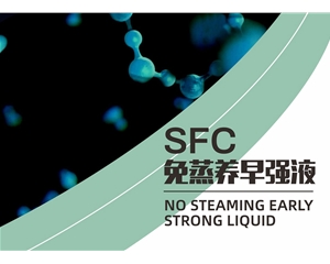 SFC免蒸養(yǎng)早強(qiáng)液